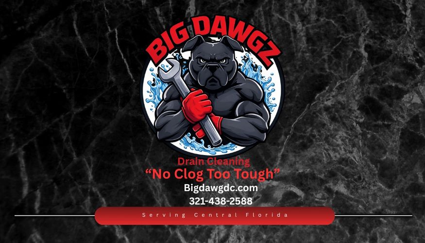 Big Dawgz Drain Cleaning logo with contact info and slogan on a black marble background.