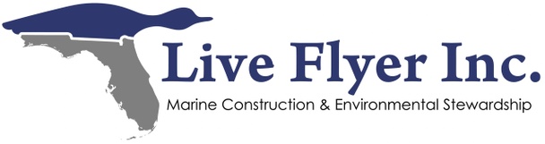 LIVE FLYER, INC.                                           