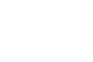 Adirondack 
Pet Safety