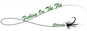 Fishing on the Fly