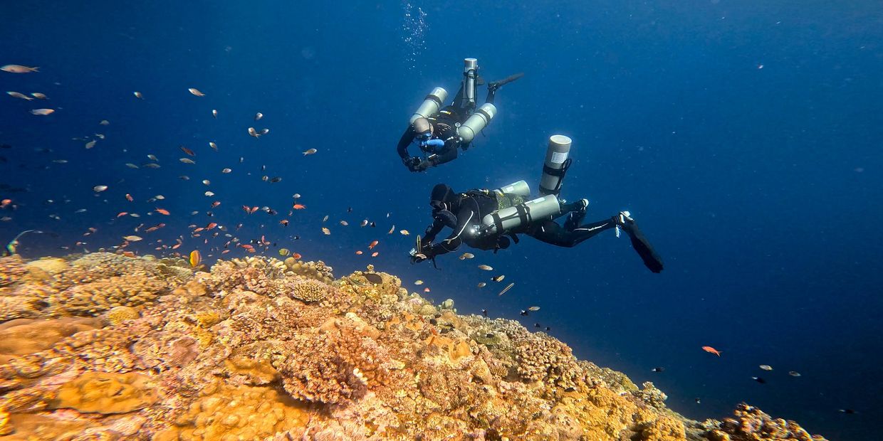 Two divers explore a vibrant coral reef teeming with small fish underwater.
