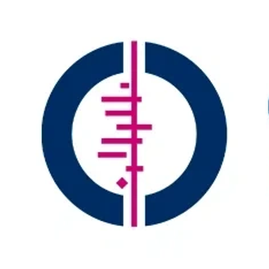 Abstract circular logo with blue and magenta elements.