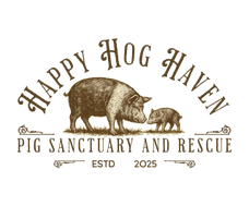 Happy Hog Haven