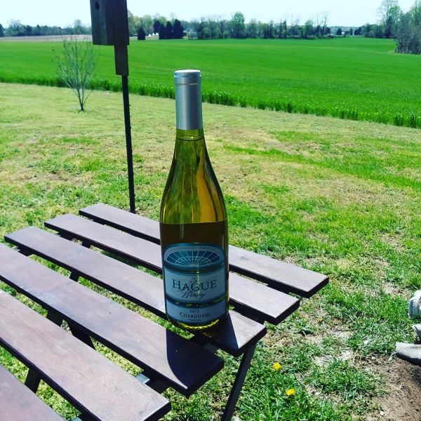Photo Gallery | The Hague Winery