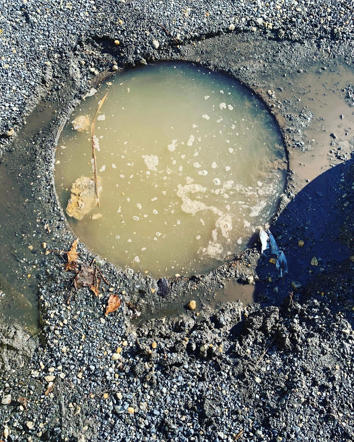 How does Grease and Grease Traps affect your sewer drain line?