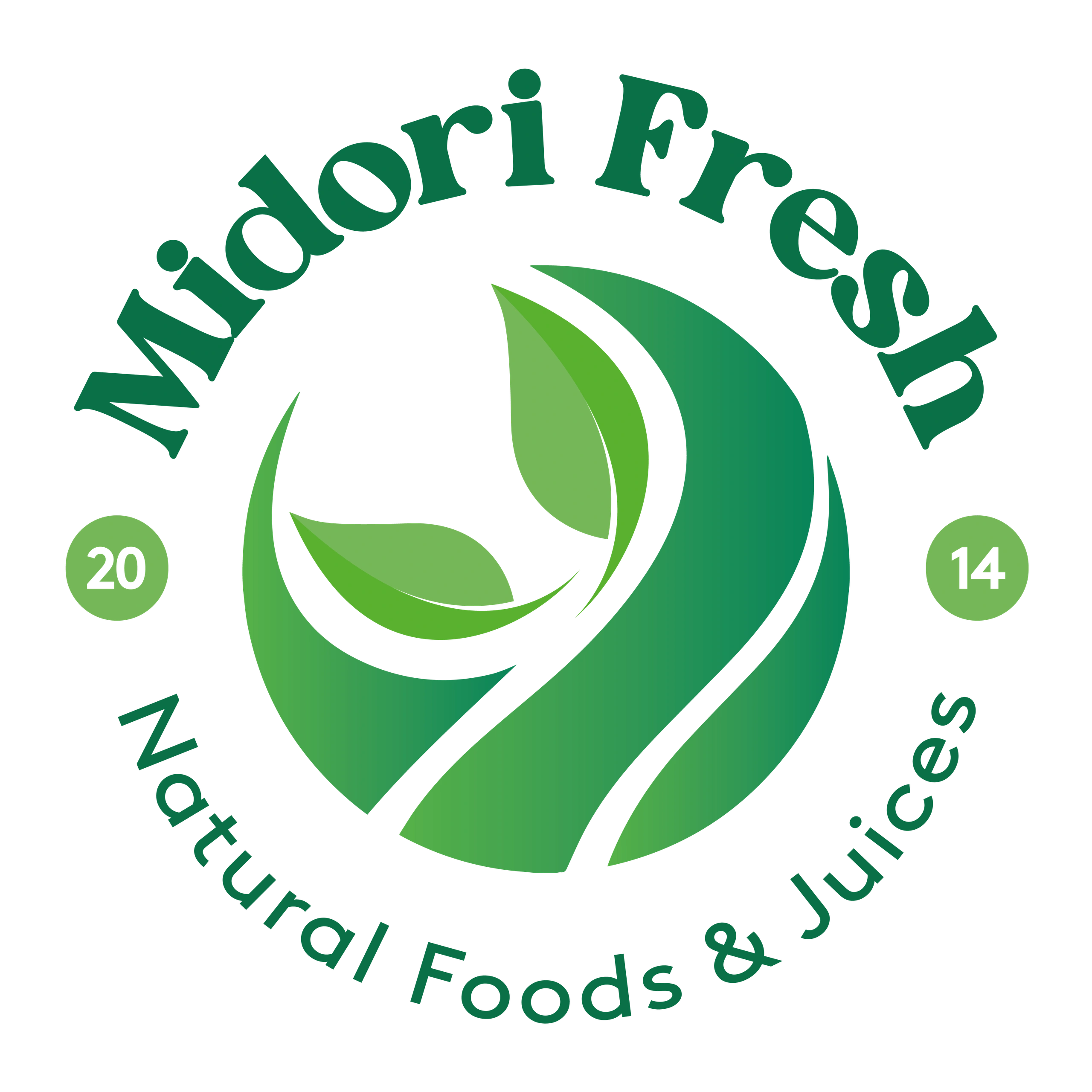Midori Fresh
