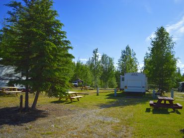 Enjoy trees and a natural setting at the Lazy Moose RV Park near Fairbanks, Alaska