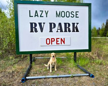 Pets love the Lazy Moose RV Park
