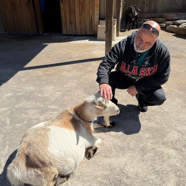Man in Alaska hoodie petting a resting goat in sunlight.