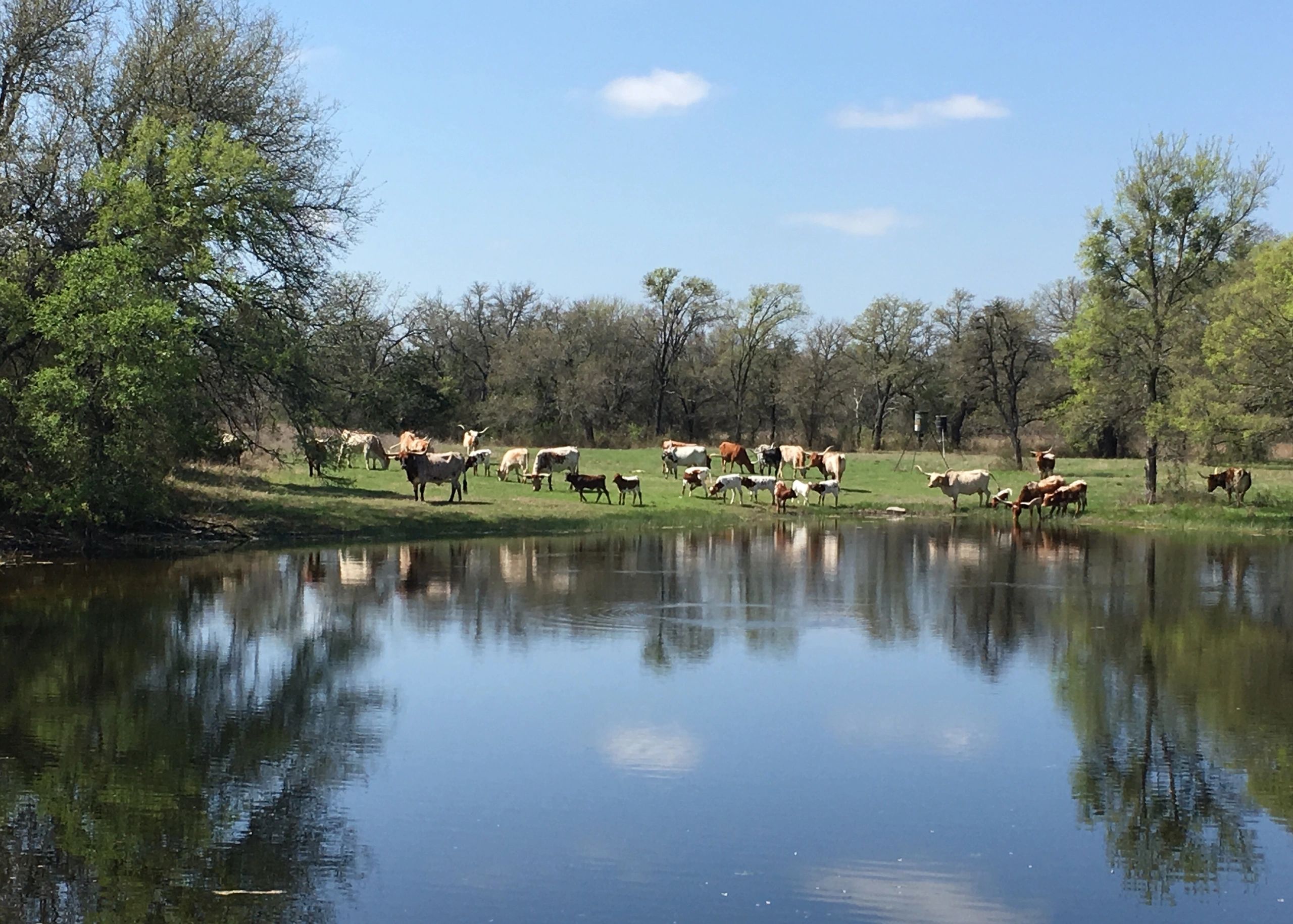 7 points to ponder when building a stock tank