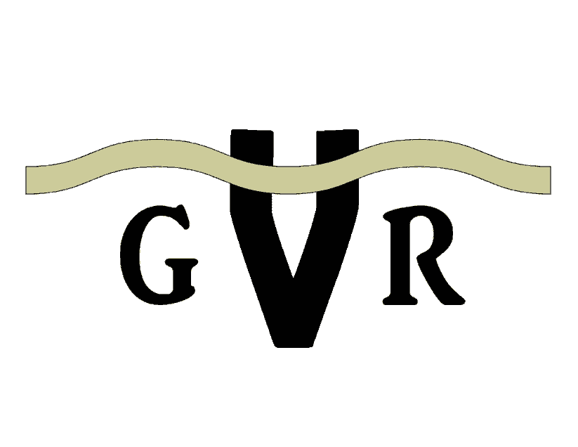  Texas Longhorn Cattle for sale in Dublin, Texas 