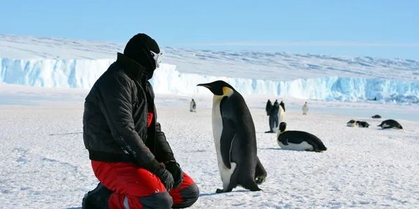 Antarctica Express Air-Cruise (2024-2025) (6 days / 5 nights)