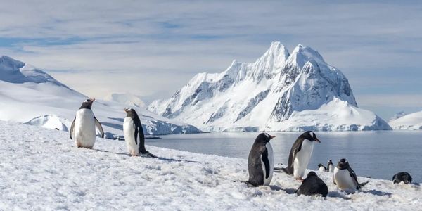 Classic Antarctica Air-Cruise (8 days/ 7 nights)