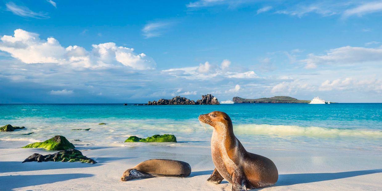 Ecuador 2025 + Galapagos Islands (5 days/ 4 nights)