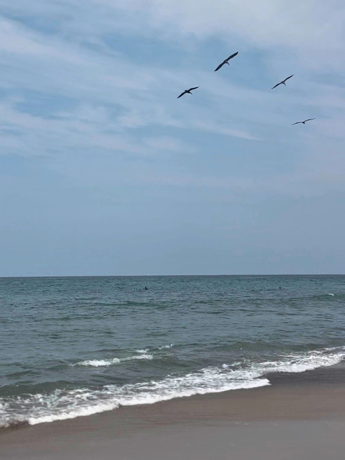 ocean with waves, sand and birds in the air