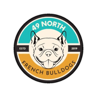 49 North French Bulldogs