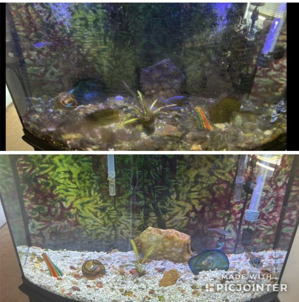 Coral Reef Aquarium Maintenance  Aquarium Services of Oregon LLC.