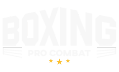 Boxing Pro Combat: BPC
