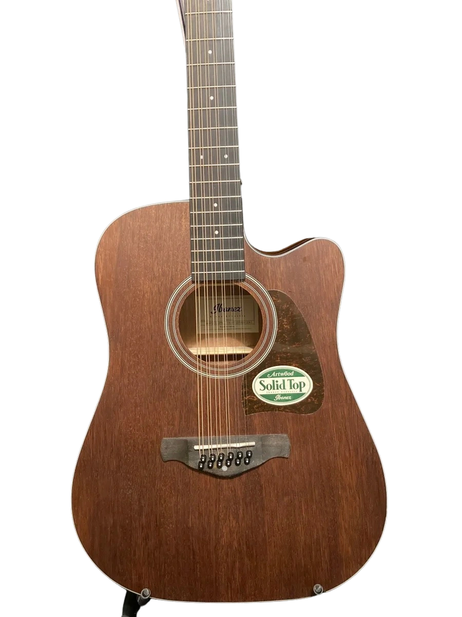 Ibanez Artwood AW5412 12-String Acoustic