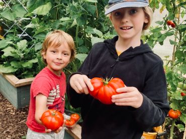Two kids holding fresh tomatoes in a garden.