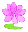 Emergent Mindfulness Centre