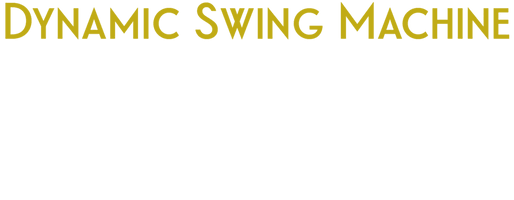 Dynamic Swing Machine