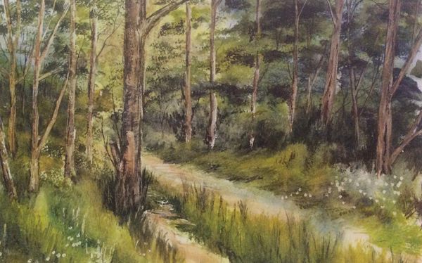 Fewston - forest path
Signed print 