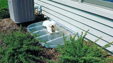 Frosted polycarbonate window well cover strong enough to support a dog.