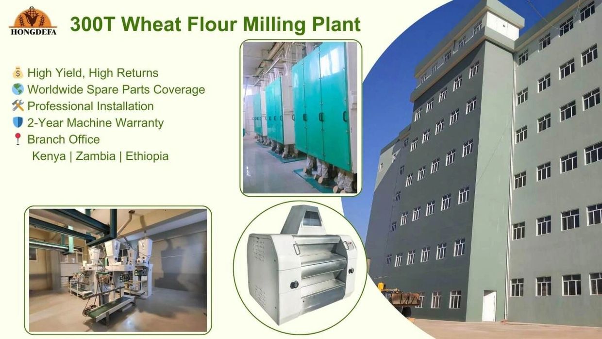 300TPD high-efficiency wheat mill, meeting large-scale production needs.