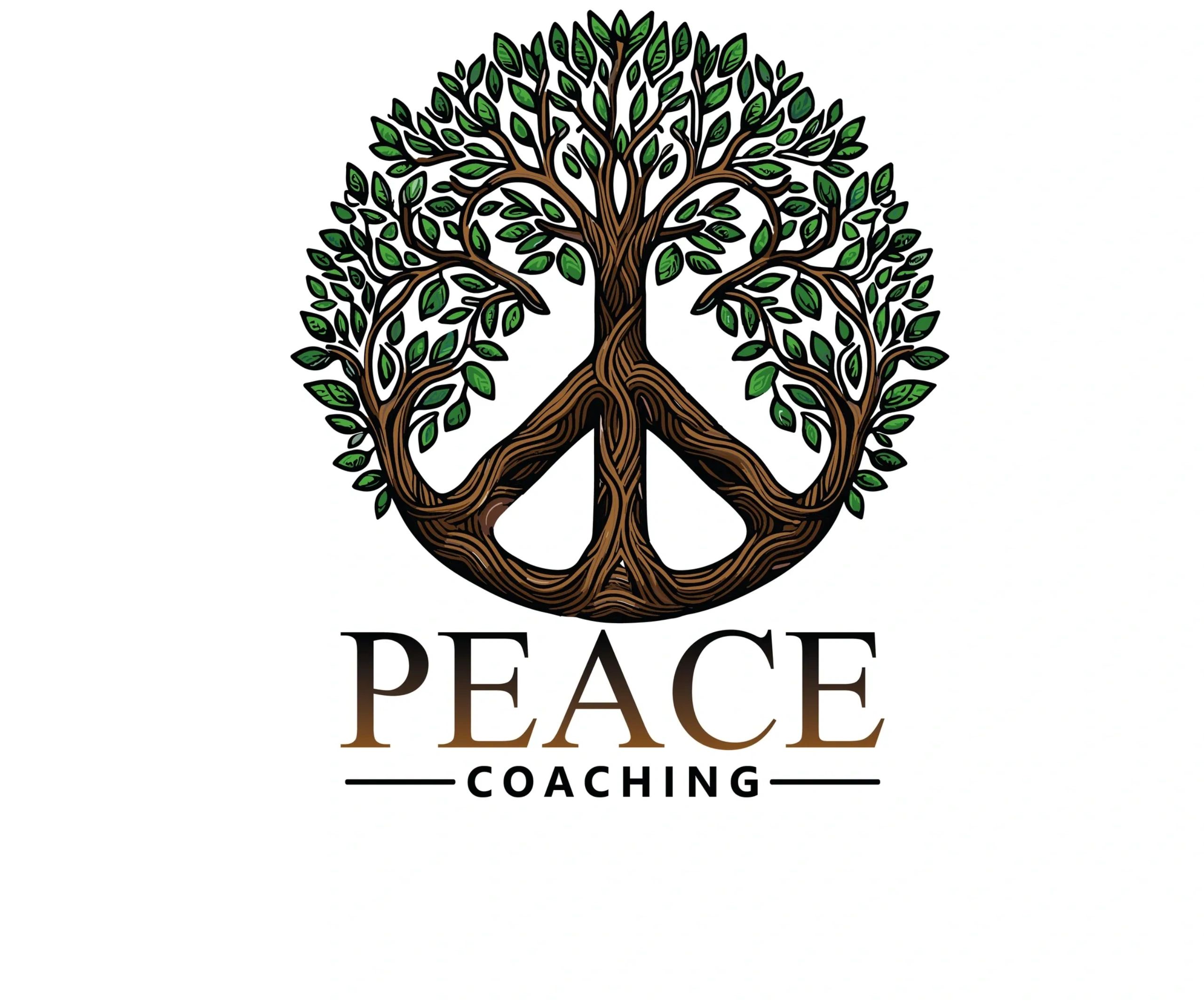About the Peace Process