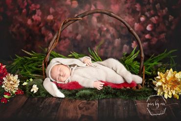 Bunny Rabbit newborn pic