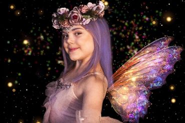Fairy princess