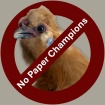 No Paper Champions