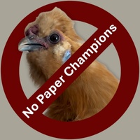 No Paper Champions