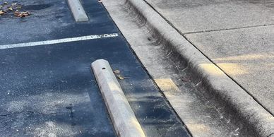 Empty parking spaces beside a building with shrubs and trash bins.