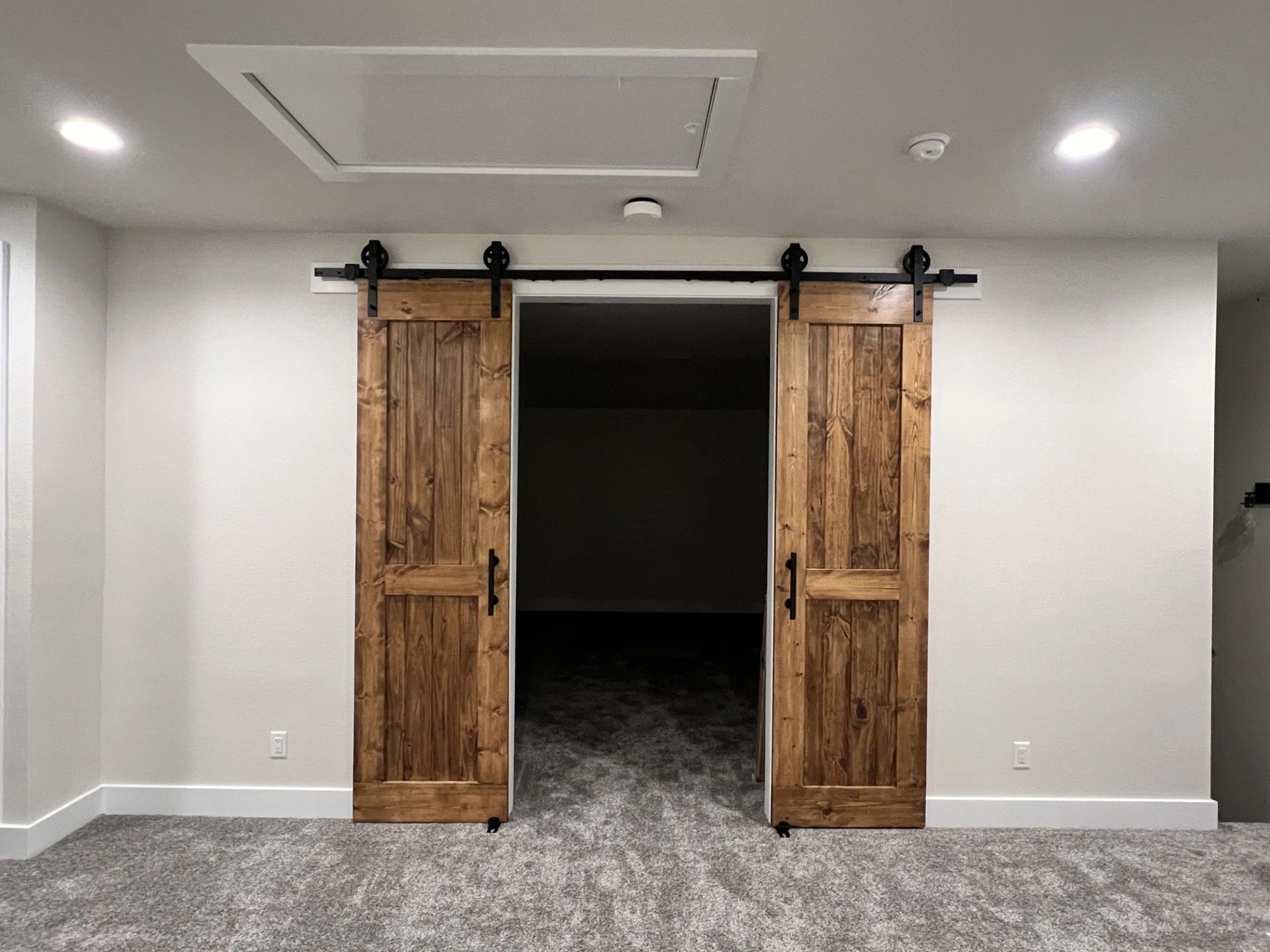 double barn door