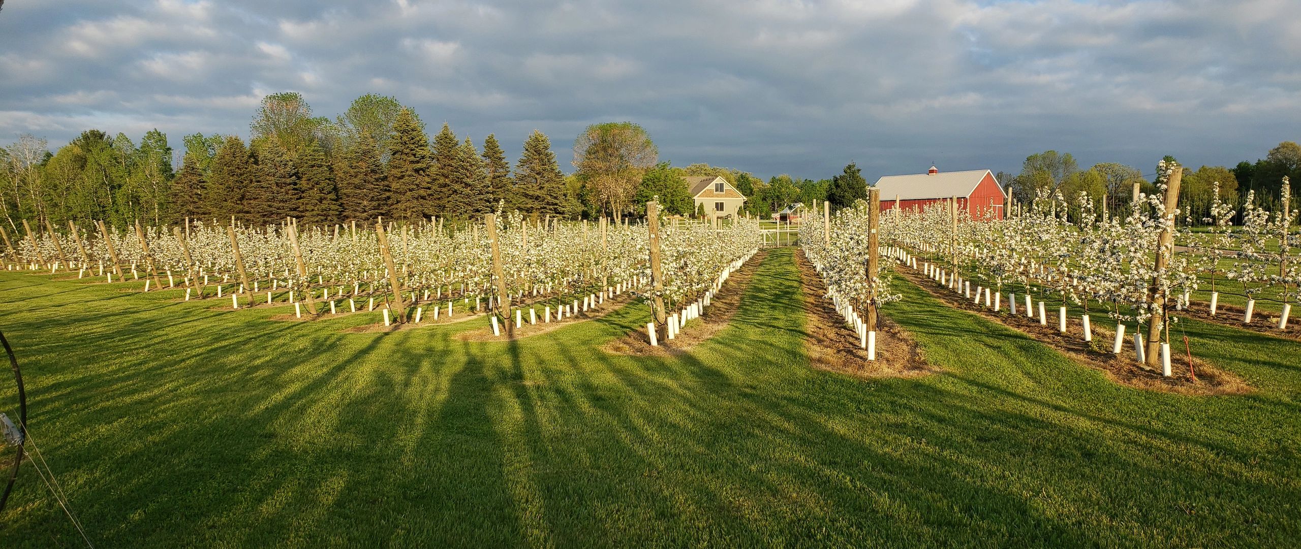 Sunnybrook Apple Orchard in Grant, Minnesota