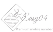 Easy04