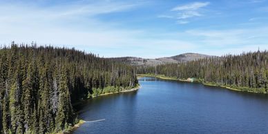 Calm river flowing through dense forest under clear blue sky.