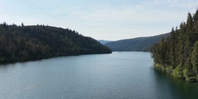 Tranquil river surrounded by dense forest under a clear sky.