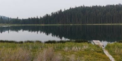 Calm lake reflecting dense pine trees and a wooden dock.