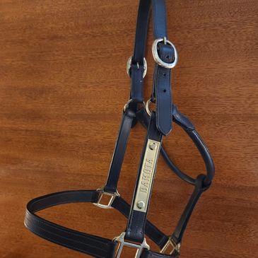 A relief-engraved brass nameplate on a leather horse halter. 