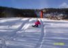 Sled or cross country ski near the house