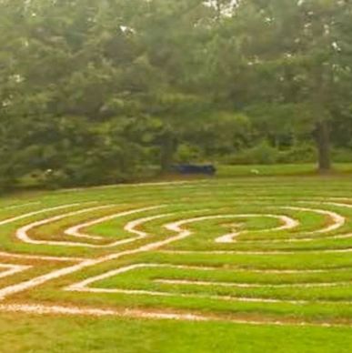A grass maze with a gravel path in a park setting.