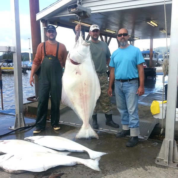 Catch of the day, halibut. 
Jeremy Bynum (L), Jerry Bynum (M), and Brian Johnston (R). (2015)