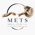Mets Link 