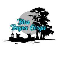 Bleu Bayou Corgis