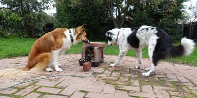 Keeping an eye on a cookstove experiment.