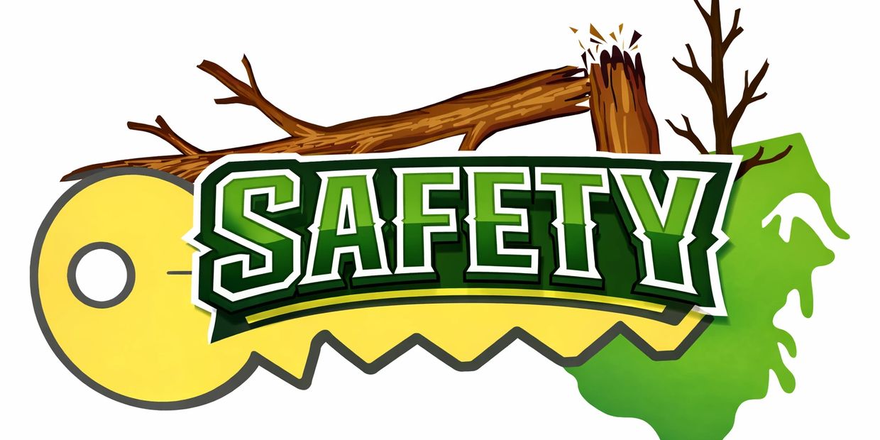 A key and broken branches illustrating safety.