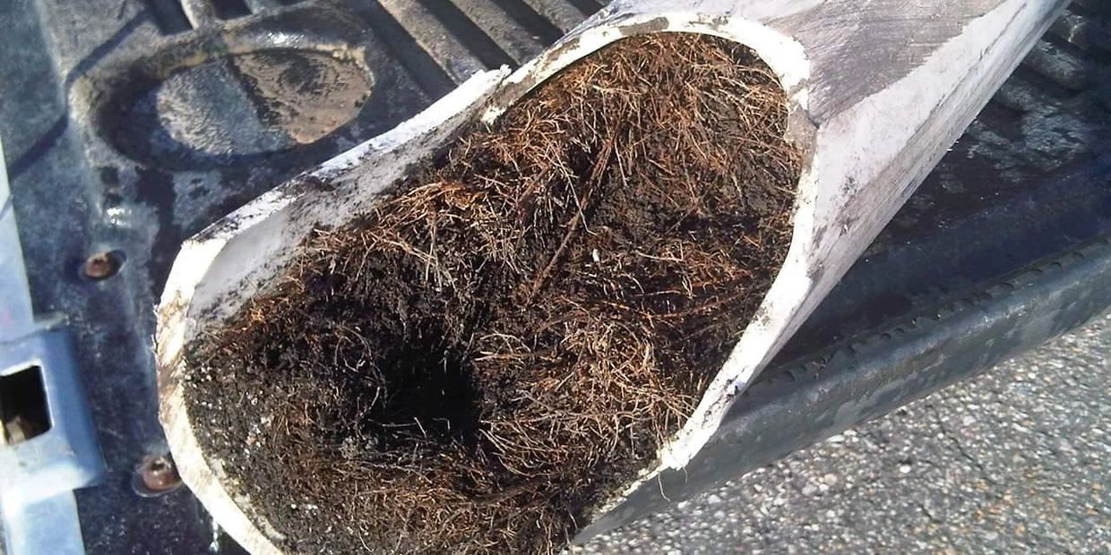Tree roots will block your drain lines unless you power rod them on a bi-yearly basis.